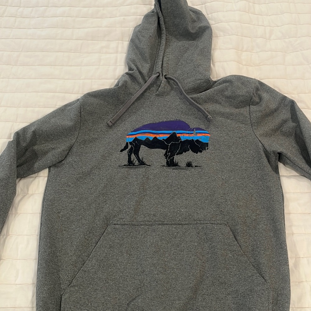 Patagonia hoody